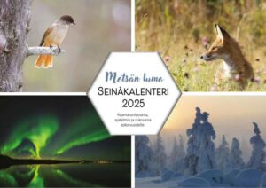 Metsän lumo seinäkalenteri 2025