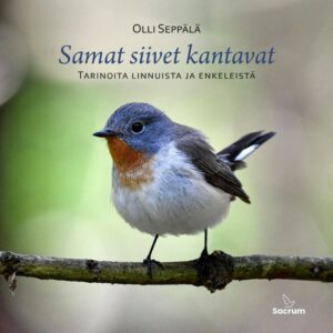 Samat siivet kantavat - Tarinoita linnuista ja enkeleistä